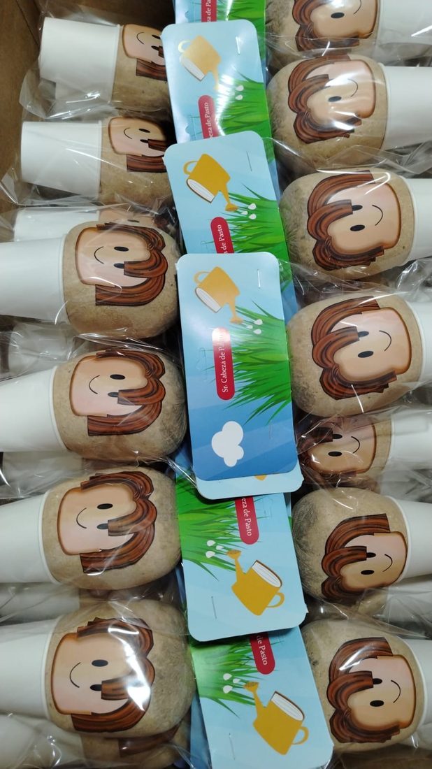 Sr. Cabeza de Pasto con carita personalizada estilo caricatura
